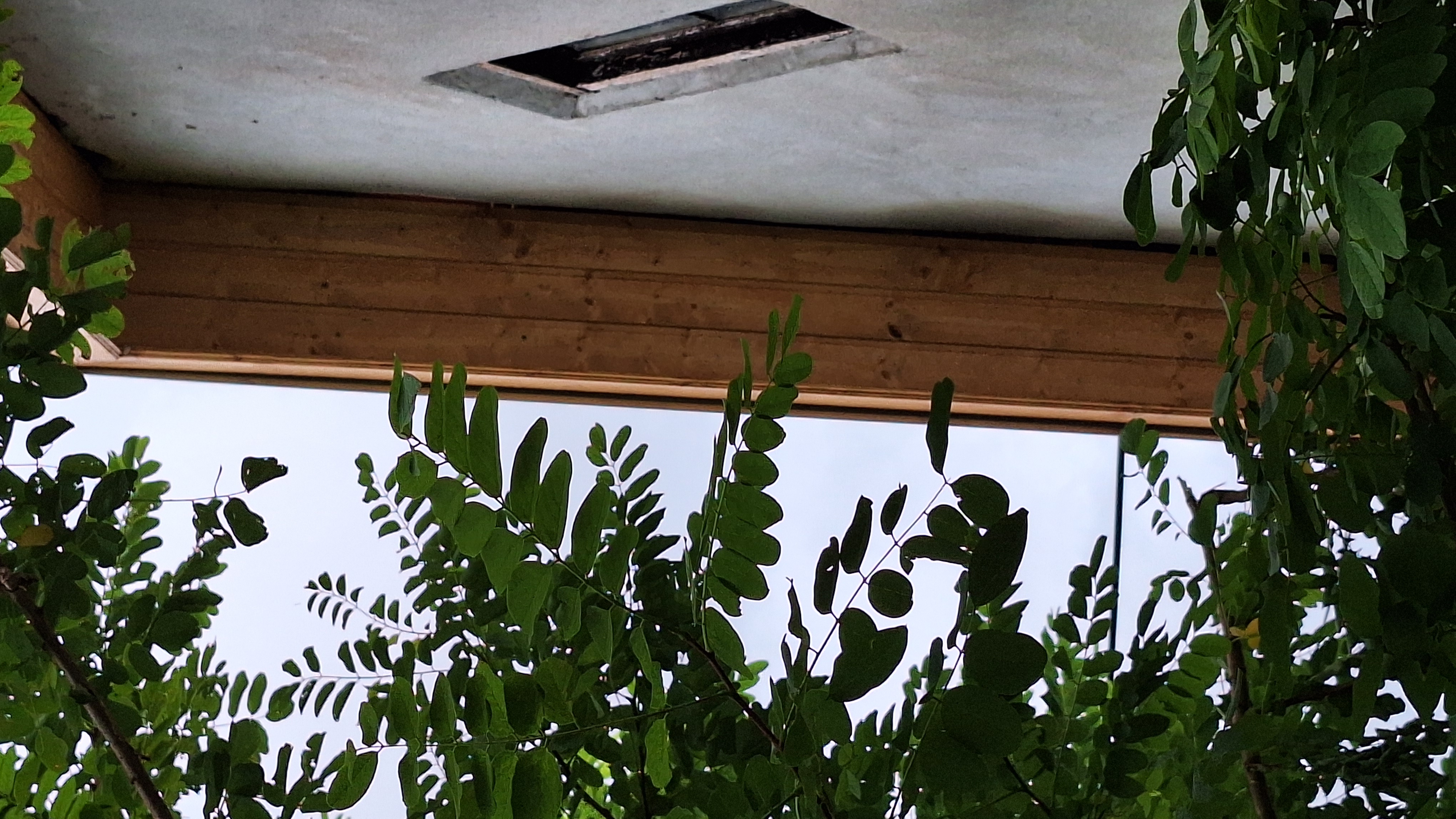 Nagy Balázs. E.V. Körösladány Békés megye ács tetőjavítás